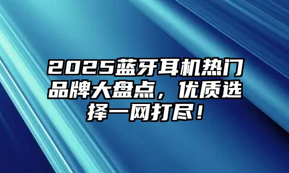 2025藍(lán)牙耳機(jī)熱門品牌大盤點(diǎn)，優(yōu)質(zhì)選擇一網(wǎng)打盡！