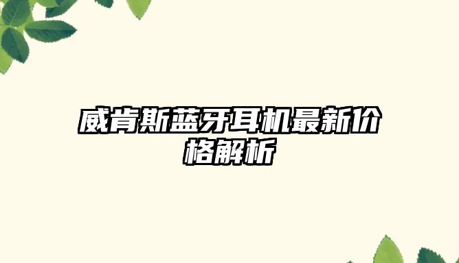 威肯斯藍(lán)牙耳機(jī)最新價(jià)格解析