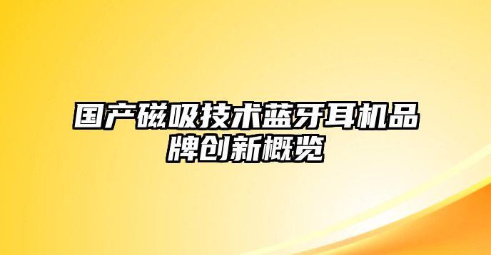 國(guó)產(chǎn)磁吸技術(shù)藍(lán)牙耳機(jī)品牌創(chuàng)新概覽