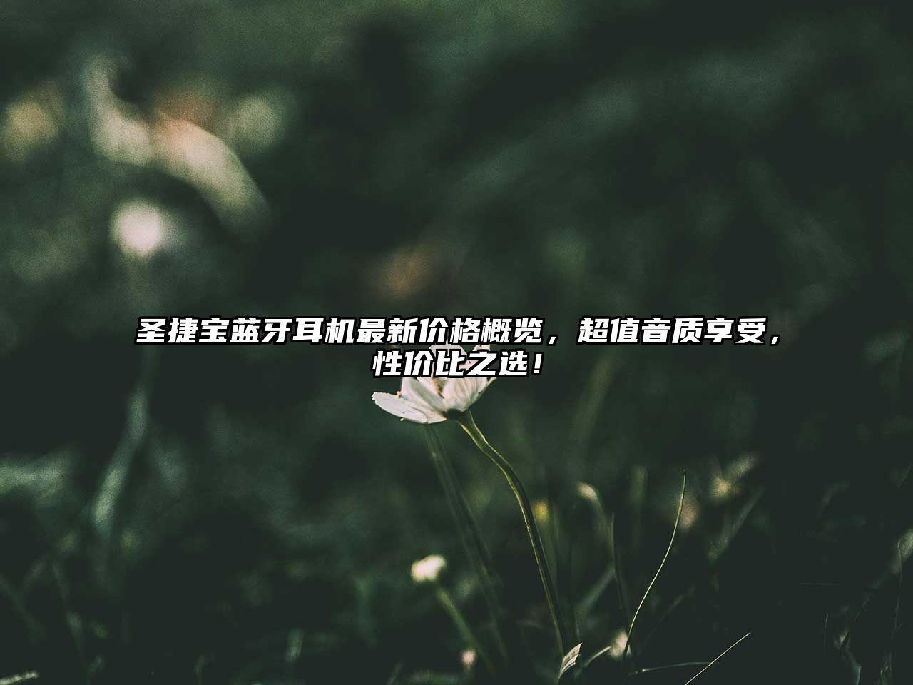圣捷寶藍(lán)牙耳機(jī)最新價(jià)格概覽，超值音質(zhì)享受，性價(jià)比之選！