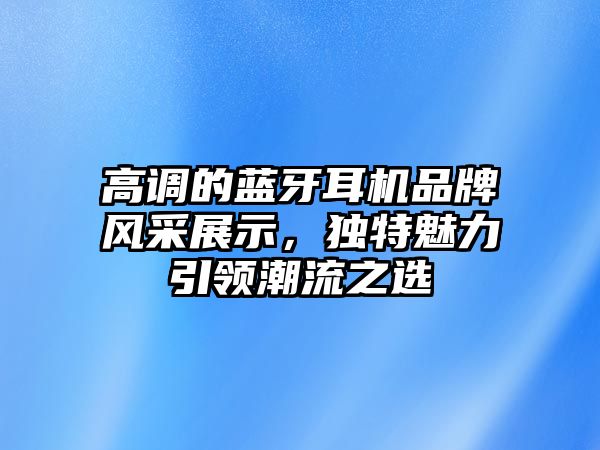 高調(diào)的藍(lán)牙耳機(jī)品牌風(fēng)采展示，獨(dú)特魅力引領(lǐng)潮流之選