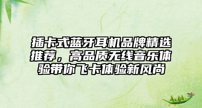 插卡式藍(lán)牙耳機(jī)品牌精選推薦，高品質(zhì)無(wú)線音樂(lè)體驗(yàn)帶你飛卡體驗(yàn)新風(fēng)尚