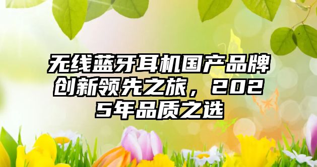 無線藍(lán)牙耳機(jī)國產(chǎn)品牌創(chuàng)新領(lǐng)先之旅，2025年品質(zhì)之選